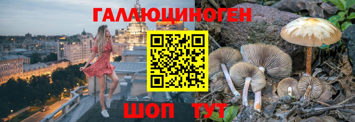 Владивосток  купить наркотик  Вход с VPN  Псилоцибиновые грибы Psilocybe 