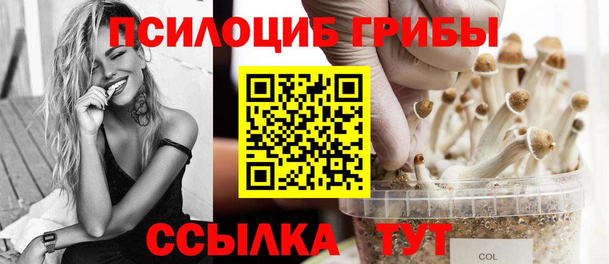 Галлюциногенные грибы Cubensis Владивосток